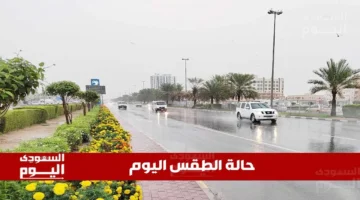 أمطار رعدية تهدد.. رياح نشطة وضباب يغطي مناطق سعودية متعددة